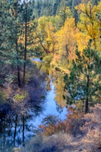 Bizz Johnson Trail