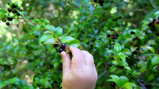 Exploring Wailaki Campground
