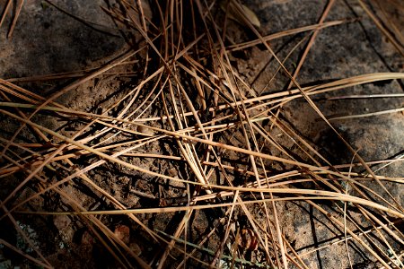 Neither Needle Nor Haystack
