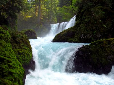 Spirit Falls Trail on Little White Salmon River in WA photo