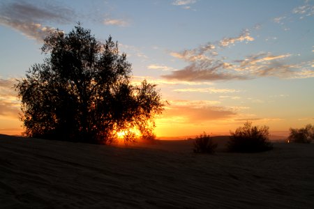 Imperial Sand Dunes Sunset