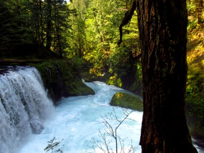 Spirit Falls Trail on Little White Salmon River in WA photo