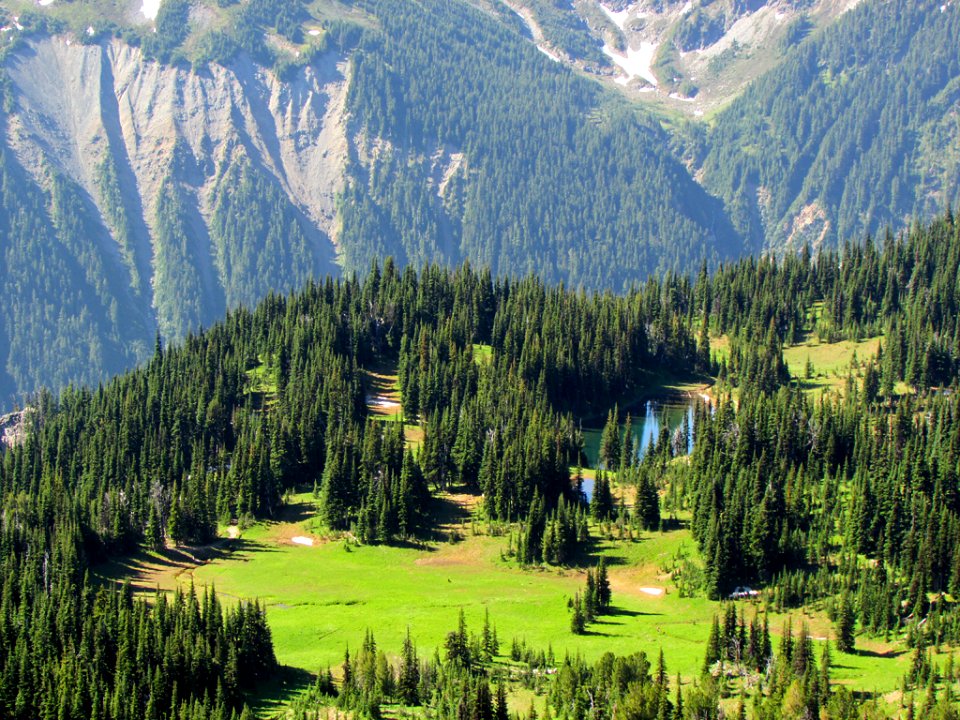 Mt. Rainier NP in WA