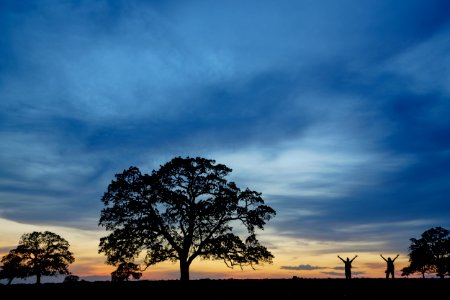Sacramento River Bend Outstanding Natural Area