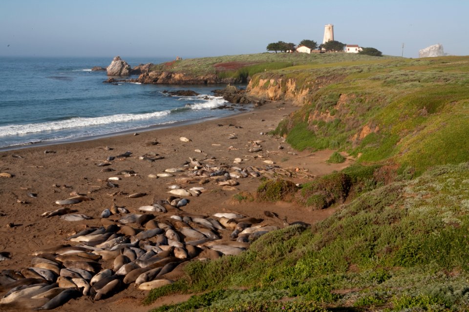 Piedras Blancas Light Station