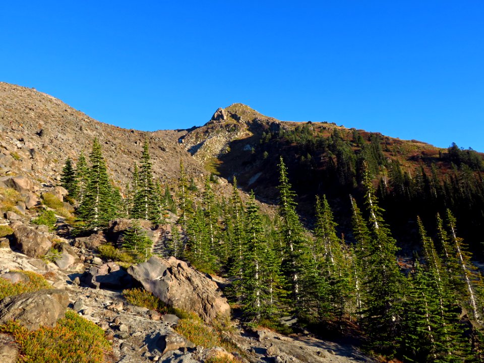 Mt. St. Helens Summit Trail in WA