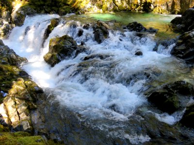 Opal Creek Wilderness in Oregon