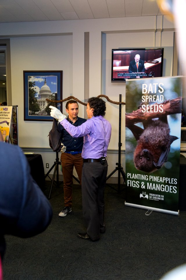 Bat Week 2017 - Congressional Reception