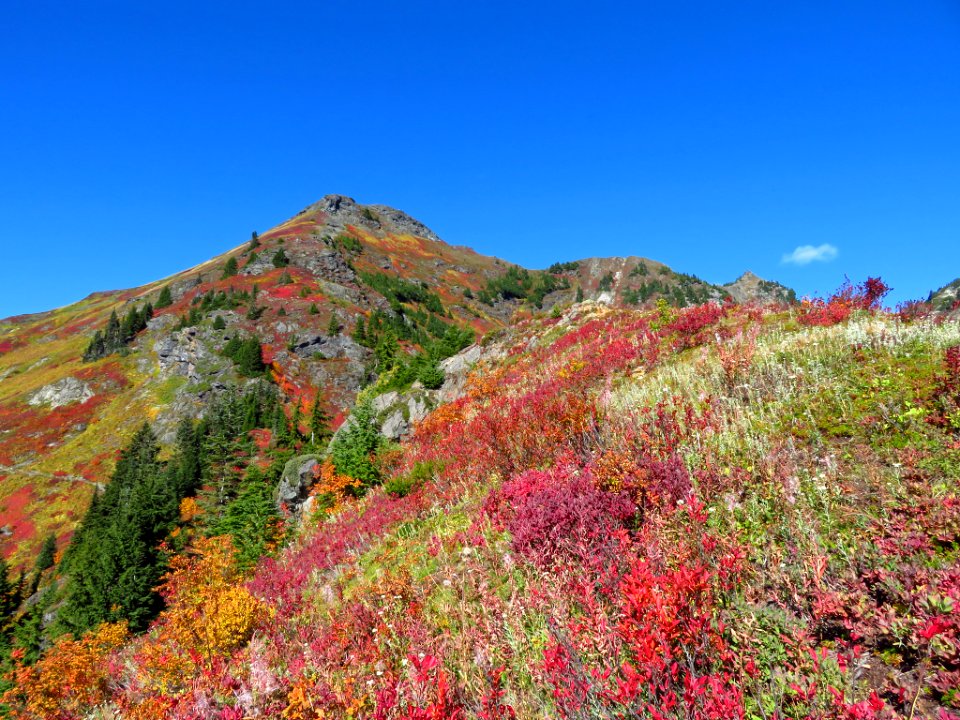 Autumn at Yellow Aster Butte in WA