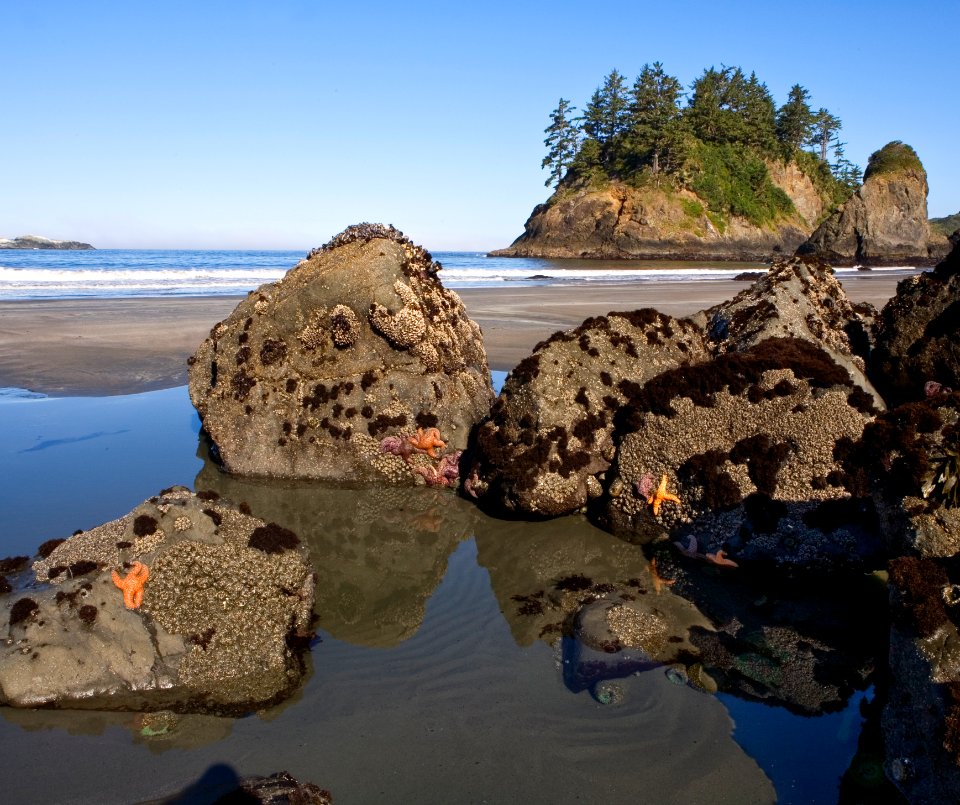 California Coastal National Monument at Trinidad Head