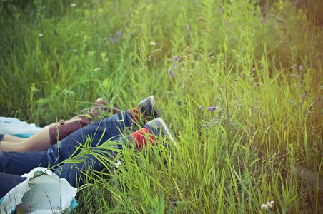 Nature outdoors make out photo