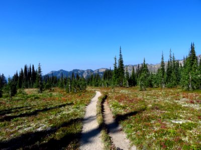 Goat Rocks Wilderness in WA