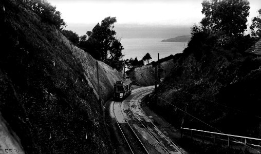 279; Wadestown Cutting, Tram - Circa 1936