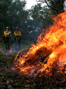 Prescribed Burn in the Mother Lode Field Office