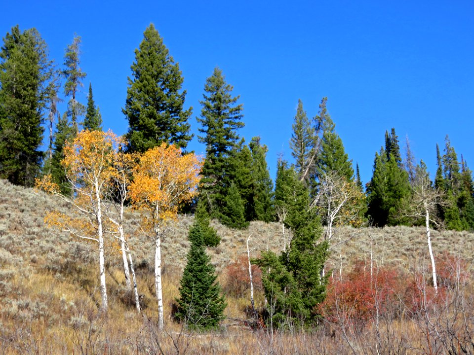 Grand Teton NP in Wyoming