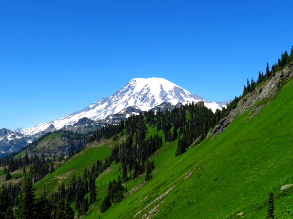 Tatoosh Peak Trail in WA
