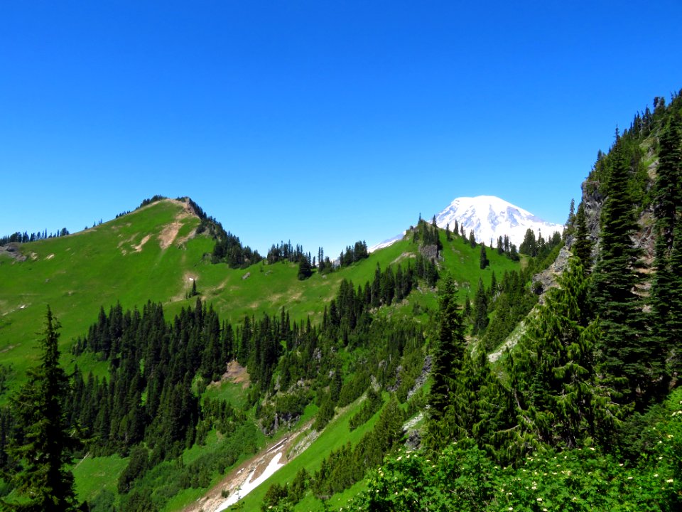 Mt. Rainier on Tatoosh Peak Trail in WA