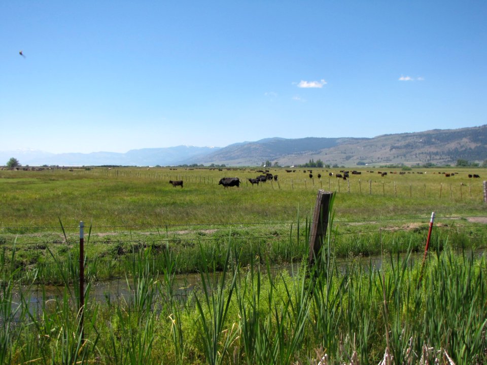 Surprise Valley Barrel Springs Back-Country Byway