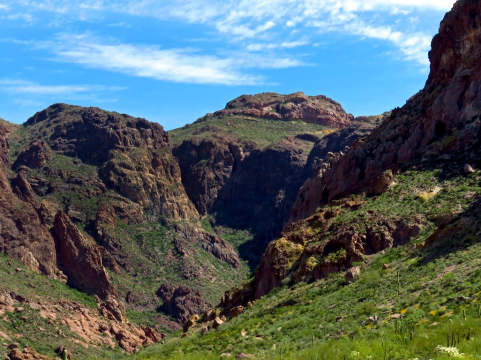 Arch Canyon at Organ Pipe Cactus NM in AZ