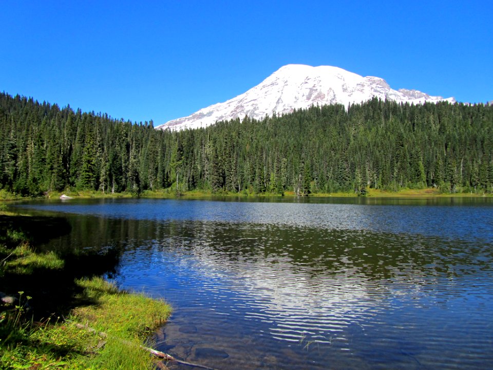 Reflection Lake at Mt. Rainier NP in WA