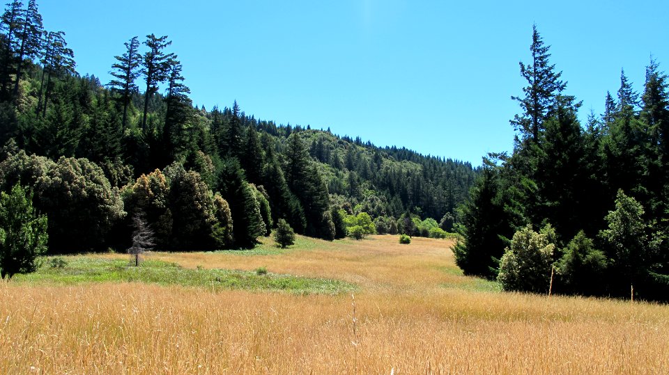 Hidden Valley Quest