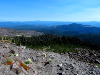 Mt. St. Helens Summit Trail in WA photo