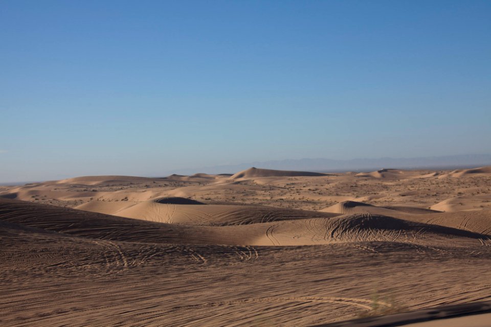 Imperial Sand Dunes Recreation Area photo