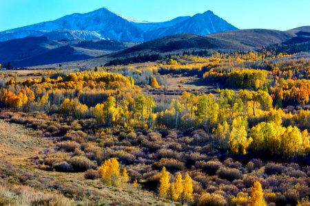 Conway Summit Area of Critical Environmental Concern