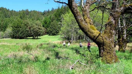 Hidden Valley Quest