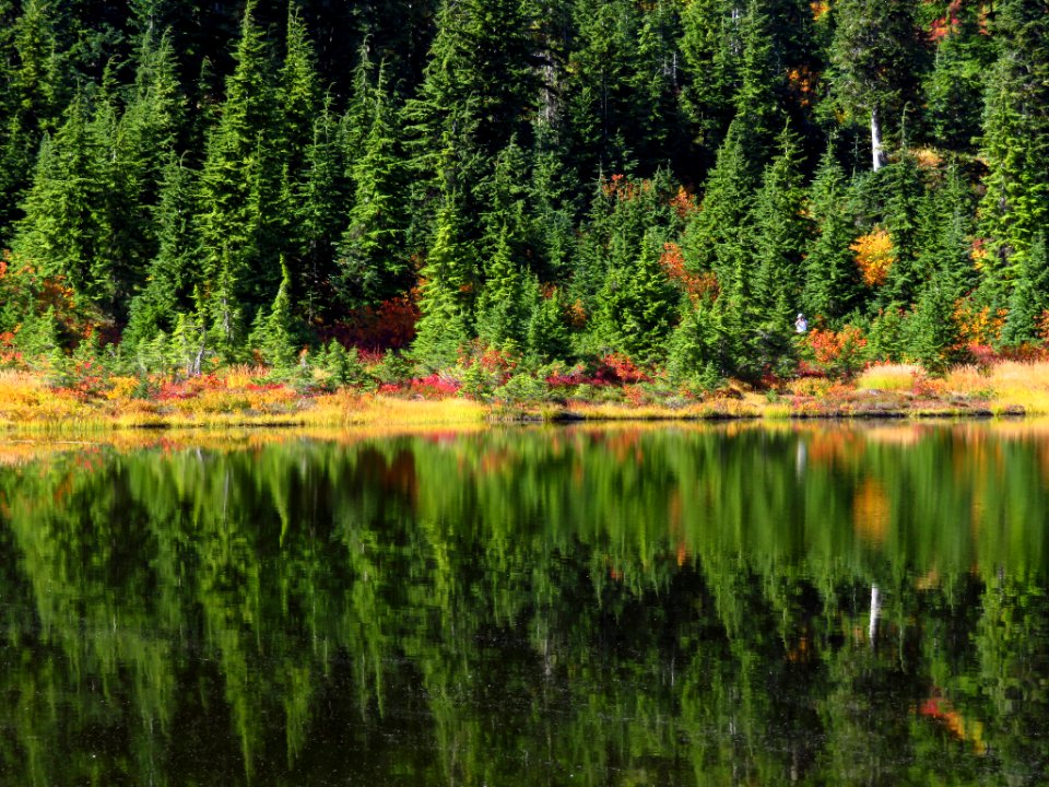 Picture Lake in WA