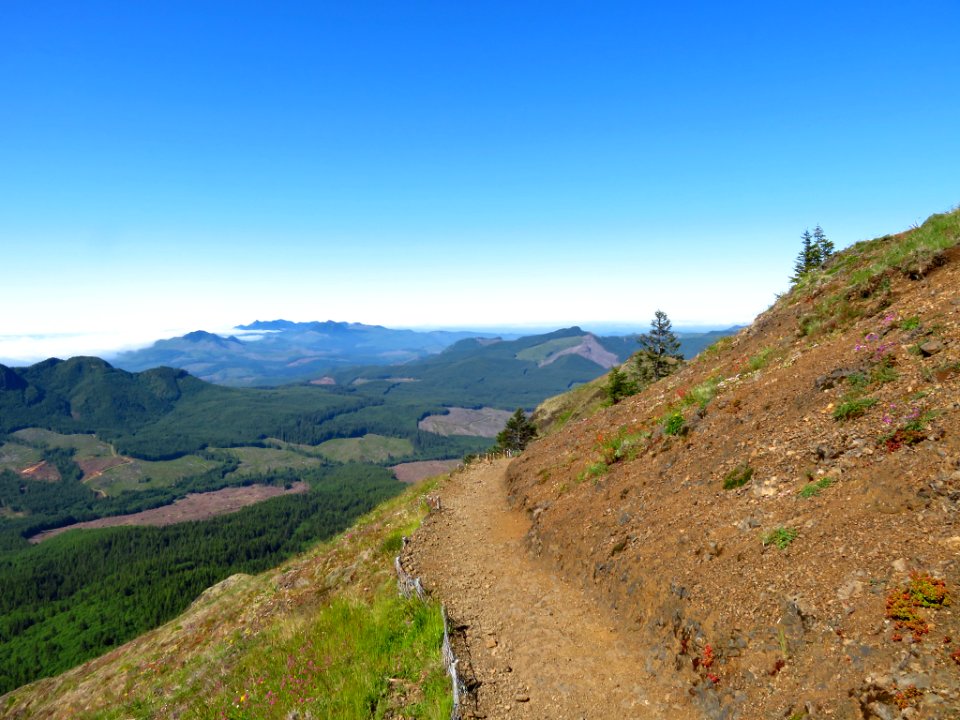 Saddle Mountain Trail in OR