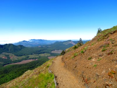 Saddle Mountain Trail in OR