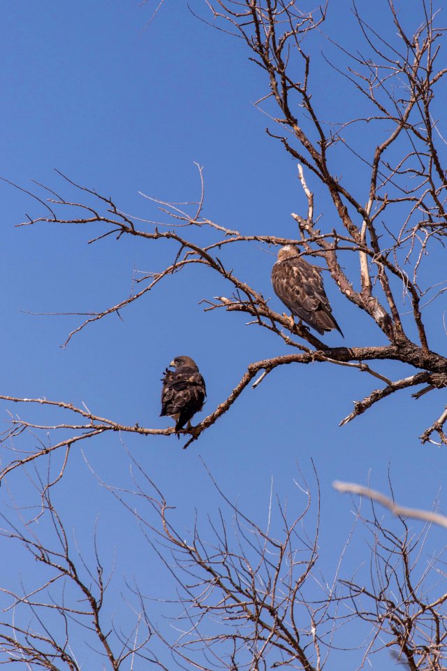 Sights around Rocky Mountain Arsenal National Wildlife Refuge