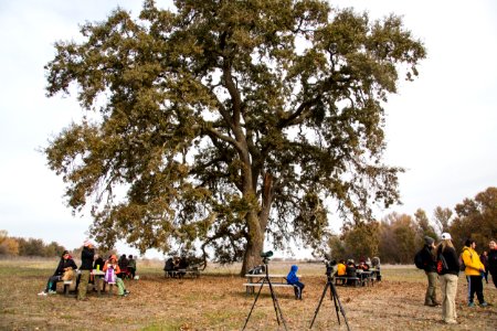 Cosumnes River Preserve