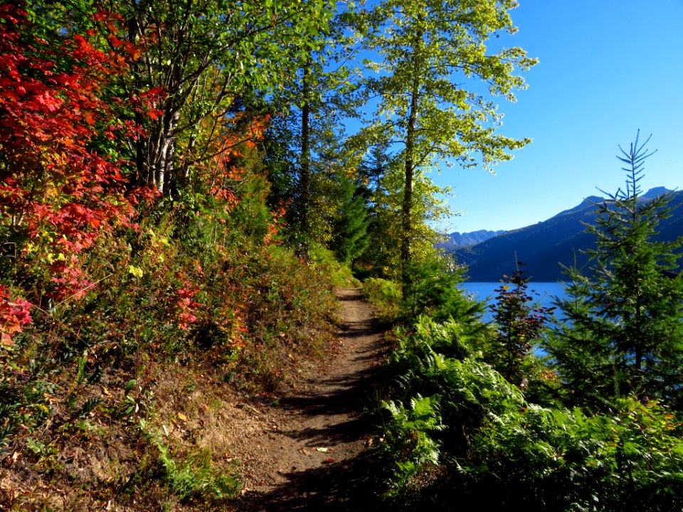 Coldwater Lake Trail in WA