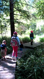 Exploring Wailaki Campground