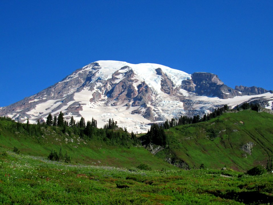 Wildflowers on Skyline Trail at Mt. Rainier NP in WA
