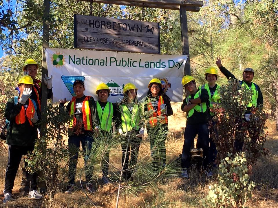 #NPLD 2016: Clean up clean up everybody do your share