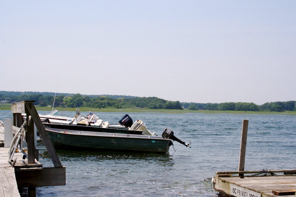 Tredwells Island Warf High Tide