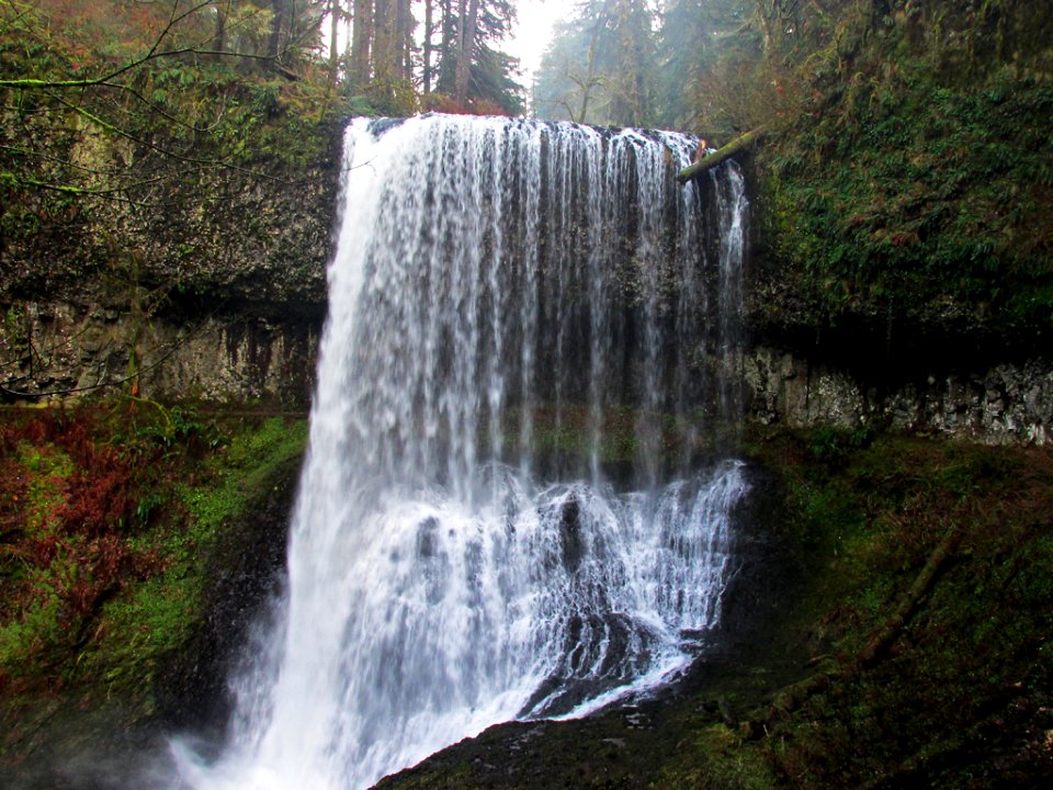 Middle North Falls at Silver Falls SP in Oregon