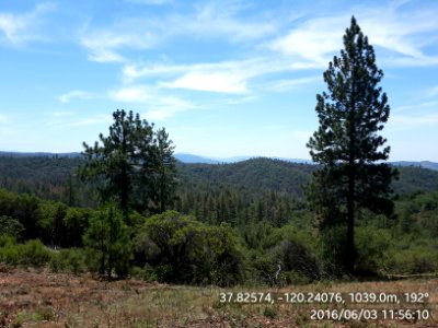 Greeley Hill