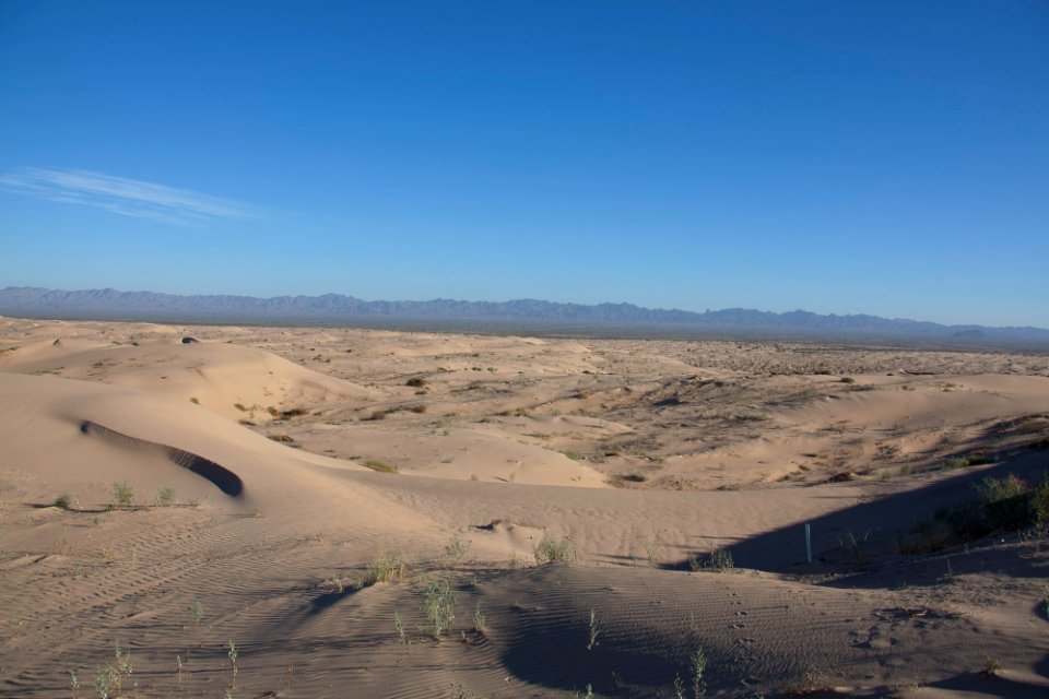 Imperial Sand Dunes Recreation Area