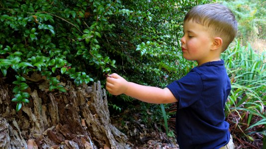 Exploring Wailaki Campground