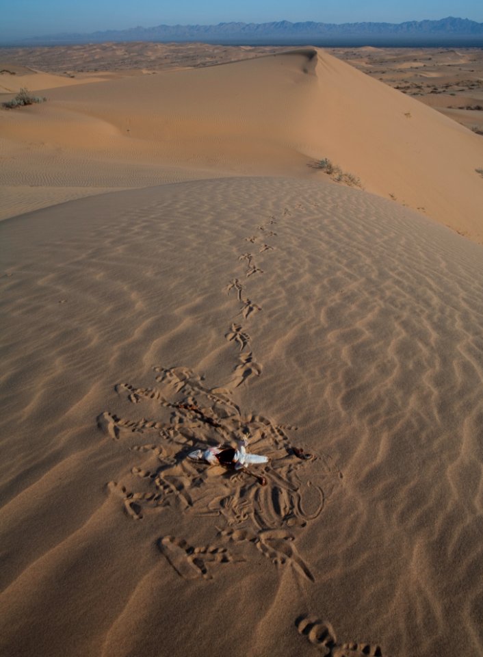 North Algodones Dunes Wilderness