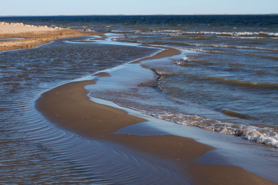 Graceful Shoreline