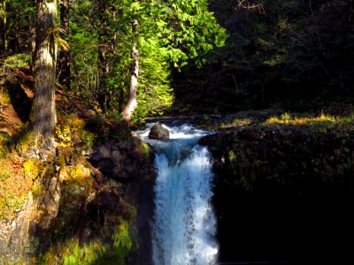 Spirit Falls Trail on Little White Salmon River in WA photo