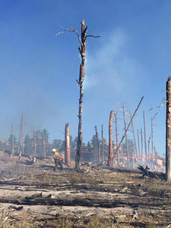 2016 Fire Season with the Folsom Lake Veterans' Fire Crew