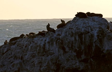 Piedras Blancas Light Station Outstanding Natural Area