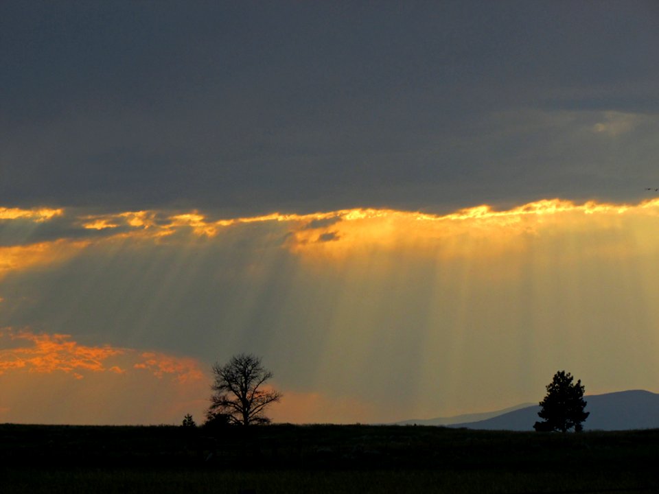 Sunset in MT
