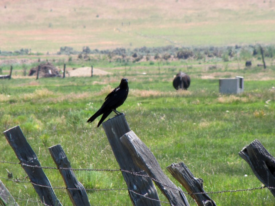 Surprise Valley Barrel Springs Back-Country Byway